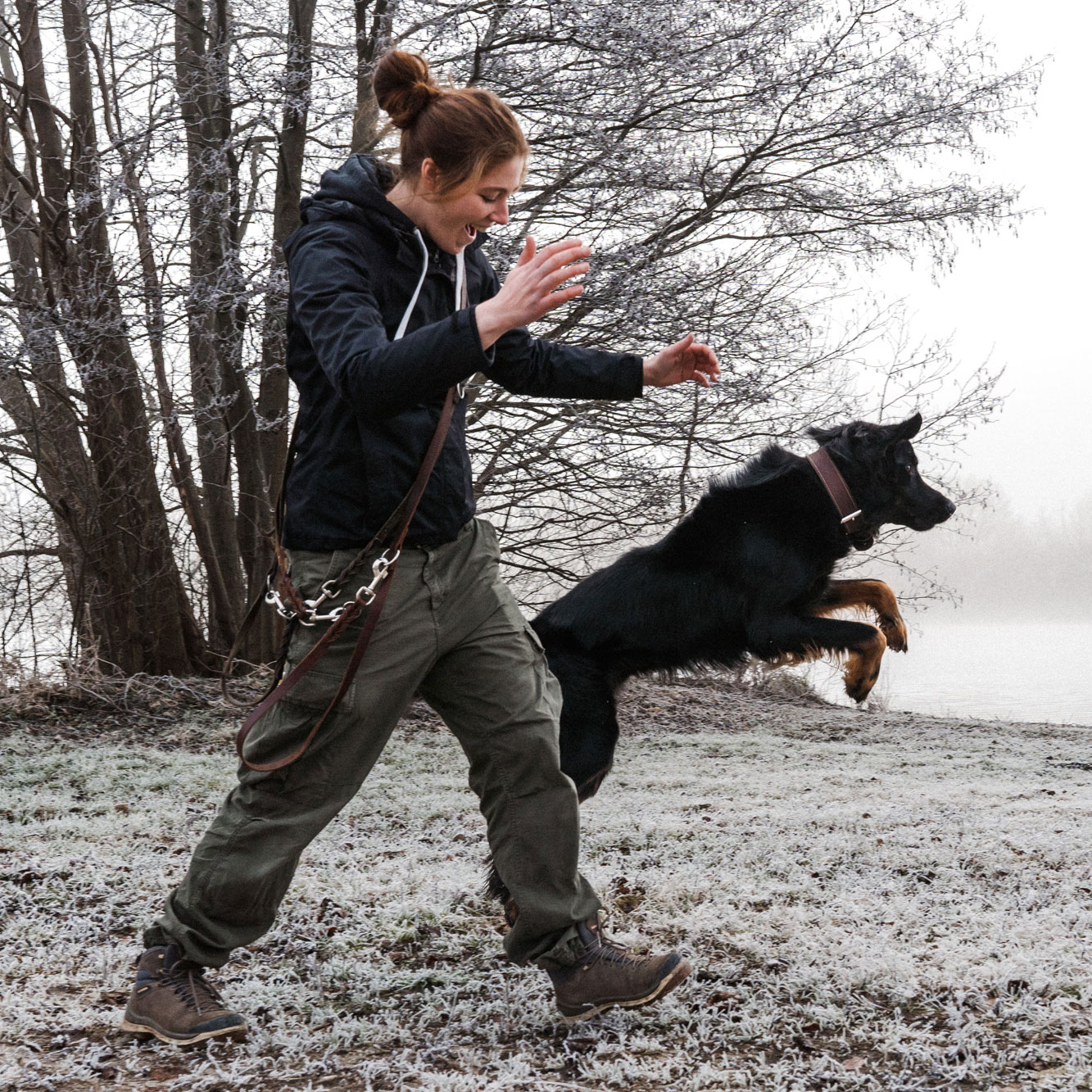 Alltagshunde Hamburg Einzeltraining