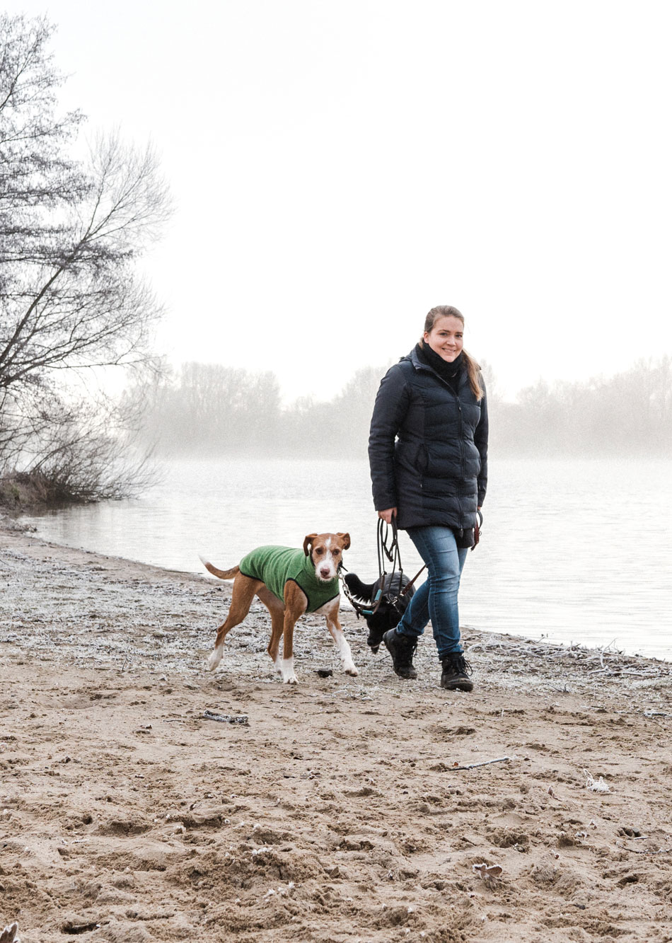 Alltagshunde Hamburg Über uns Anika Larson