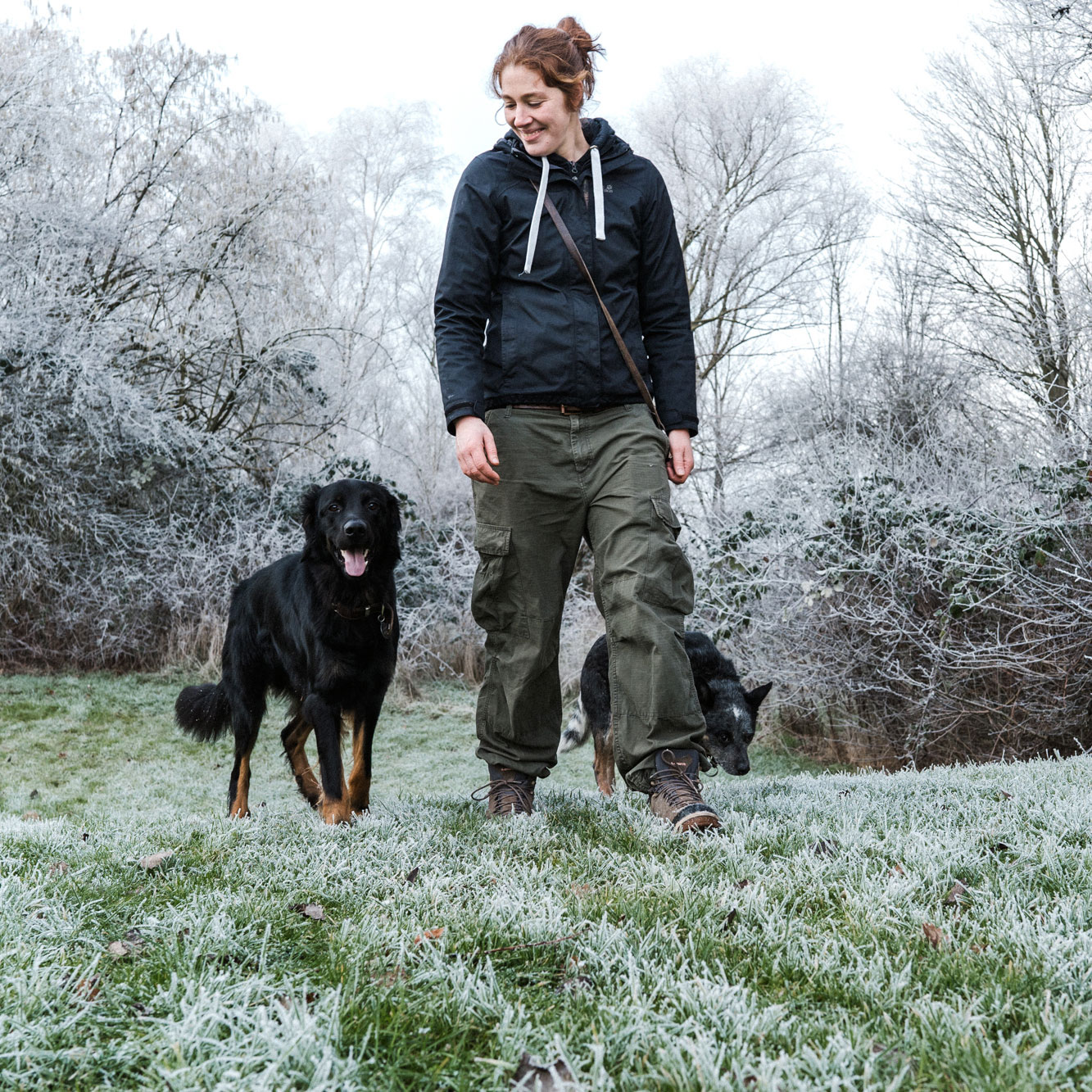 Alltagshunde Hamburg Hundepension