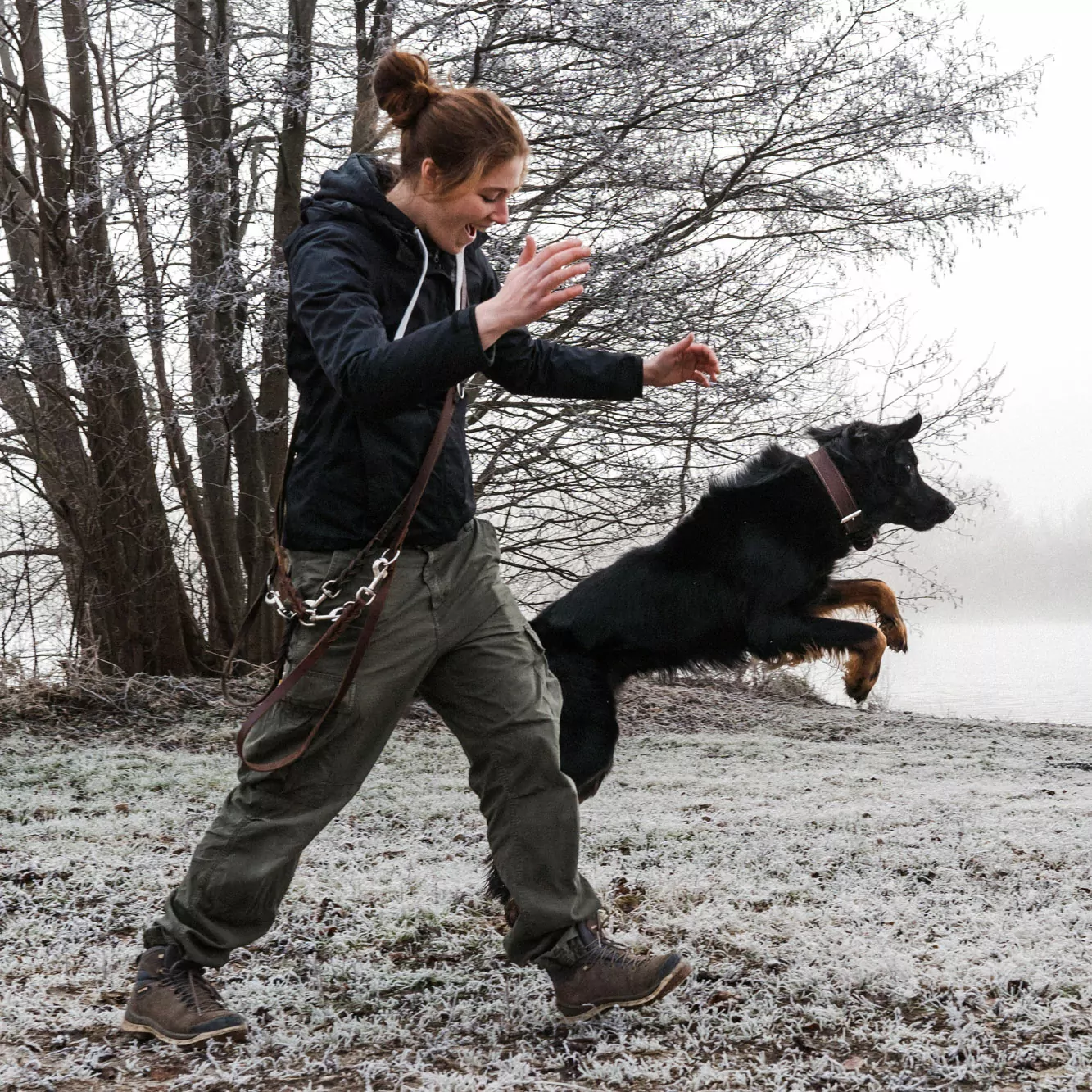 Alltagshunde Hamburg Einzeltraining