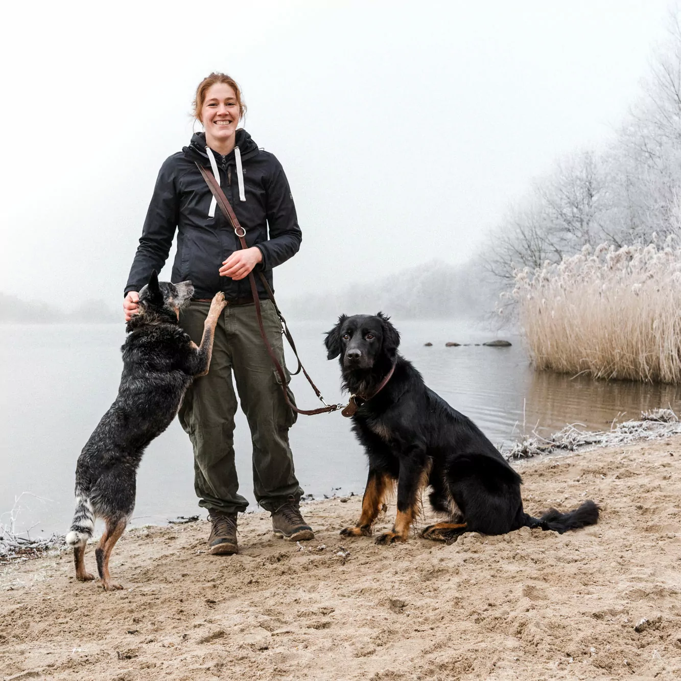 Alltagshunde Hundepension