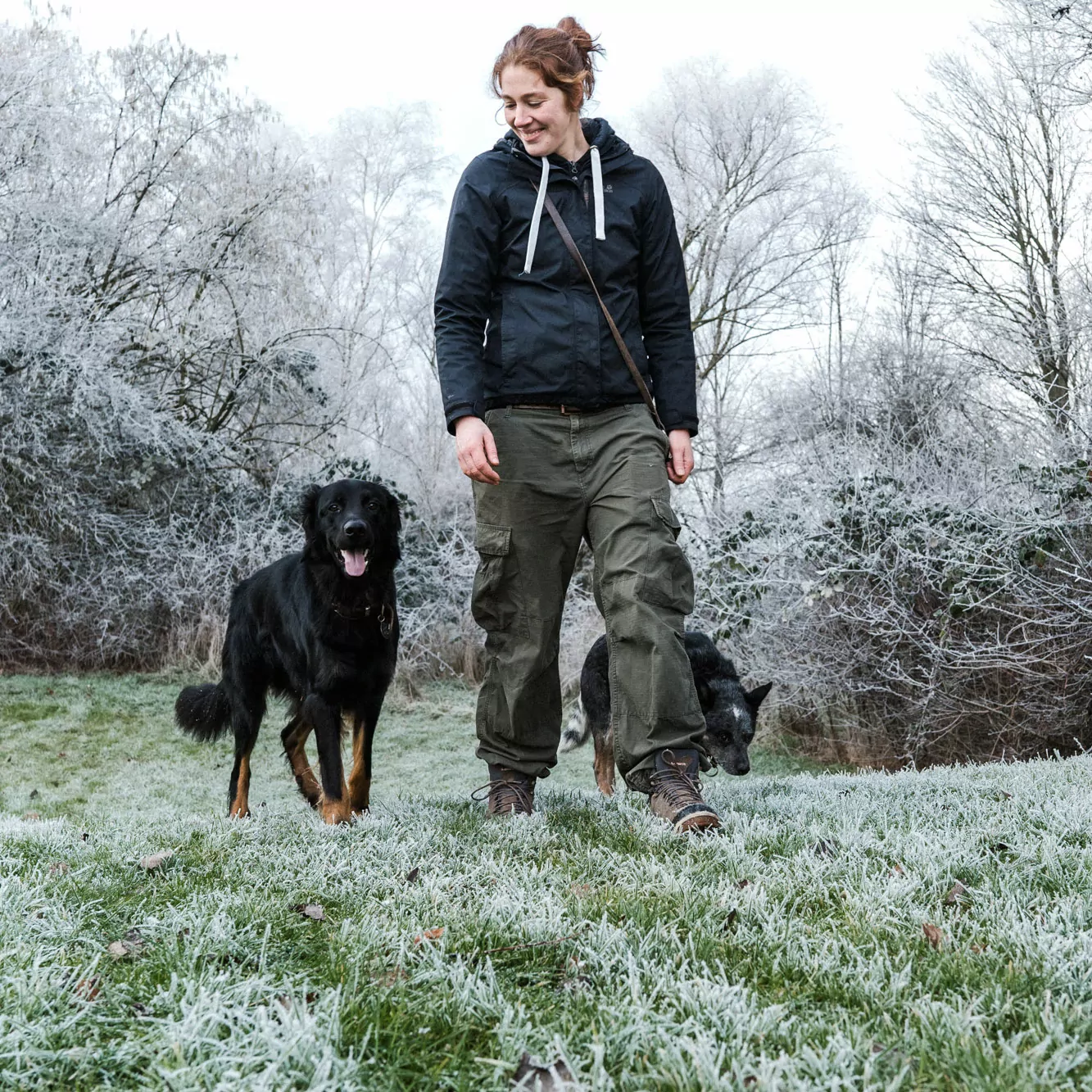 Alltagshunde Hamburg Hundepension